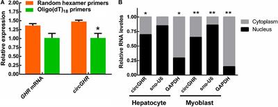 Effects of Circular RNA of Chicken Growth Hormone Receptor Gene on Cell Proliferation